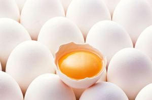 telur ayam kampung