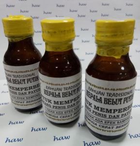 minyak kepala belut